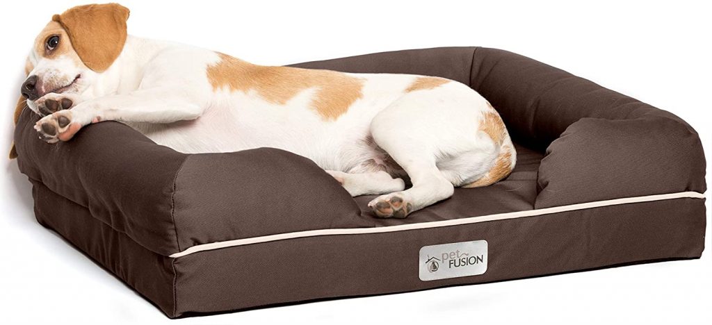 best dog bed for Boston Terrier