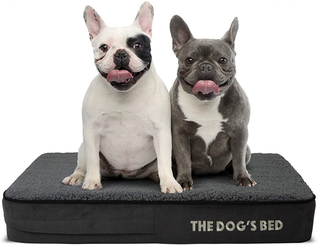 5 Best Dog Beds for Boston Terriers (Buying Guide)